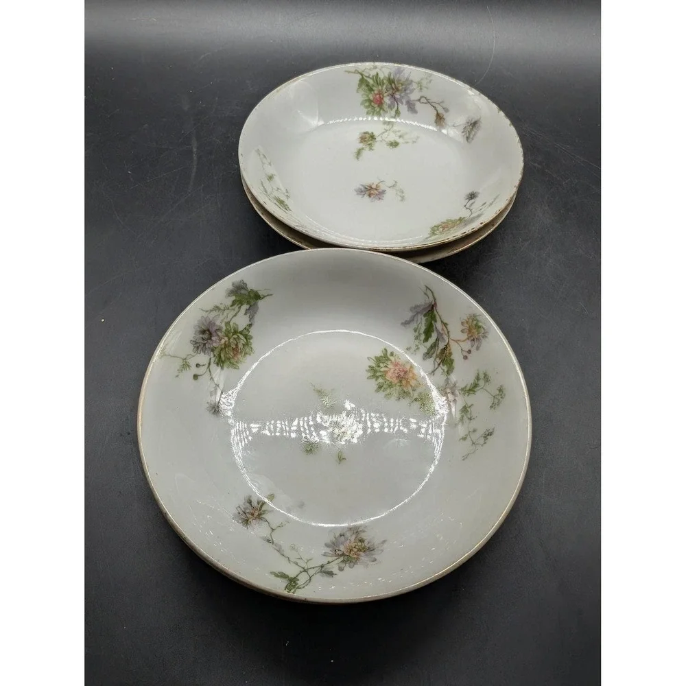 Antique C.F. Haviland Limoges GDA France Floral Berry Dessert Bowls Set of 4 5